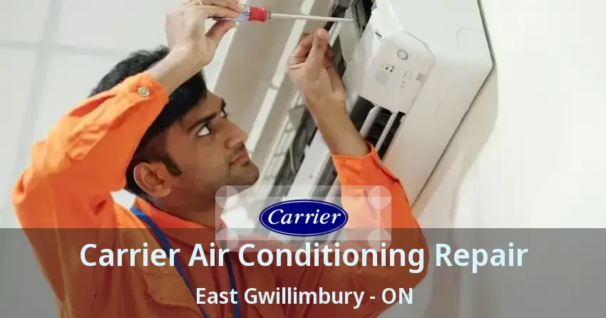 Carrier Air Conditioning Repair East Gwillimbury - ON