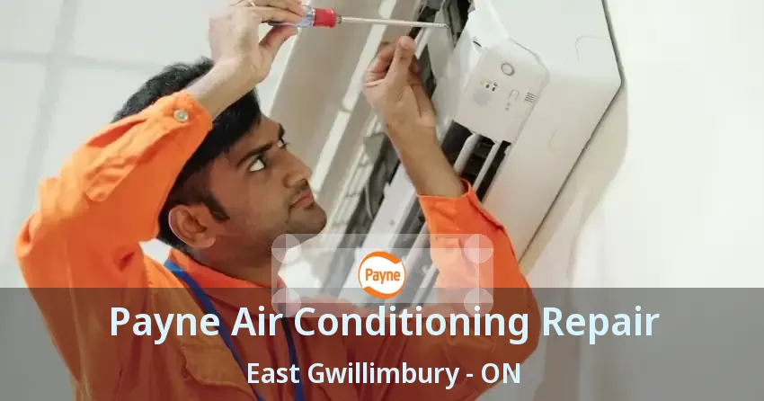 Payne Air Conditioning Repair East Gwillimbury - ON