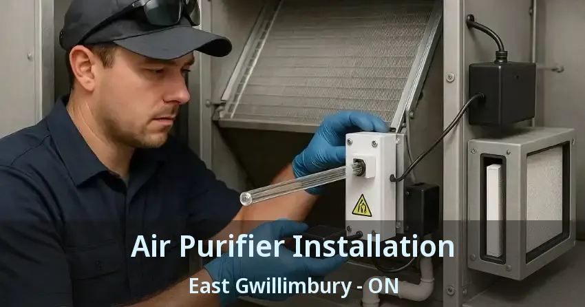 Air Purifier Installation East Gwillimbury - ON