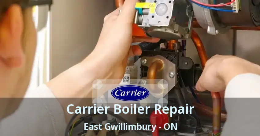Carrier Boiler Repair East Gwillimbury - ON