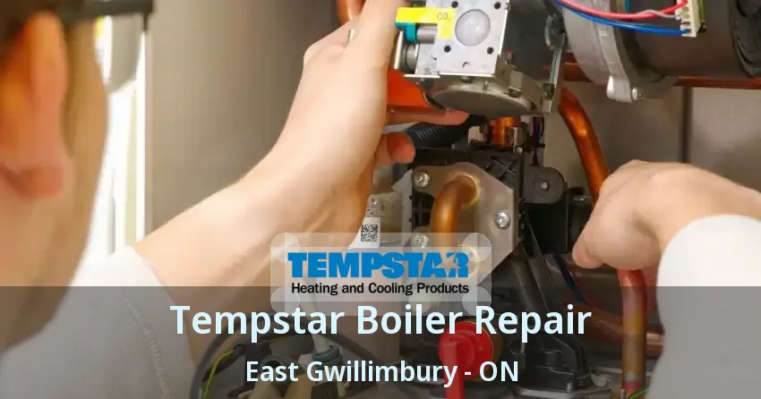 Tempstar Boiler Repair East Gwillimbury - ON