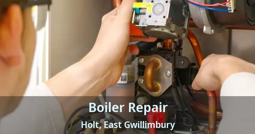 Boiler Repair Holt, East Gwillimbury - ON