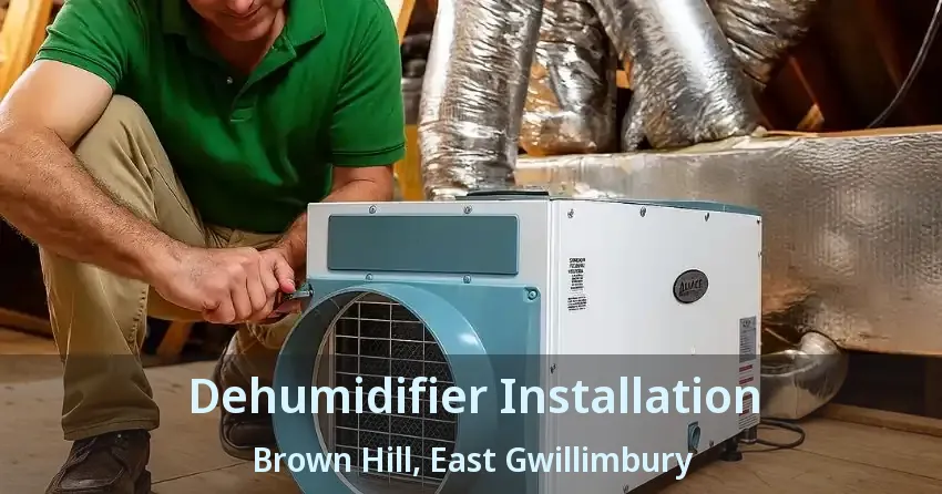 Dehumidifier Installation Brown Hill, East Gwillimbury - ON