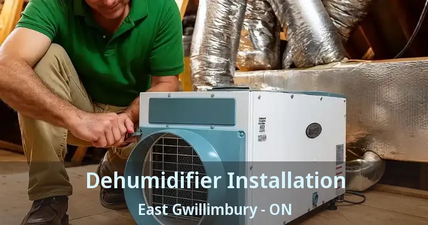 Dehumidifier Installation East Gwillimbury - ON