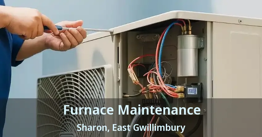 Furnace Maintenance Sharon, East Gwillimbury - ON