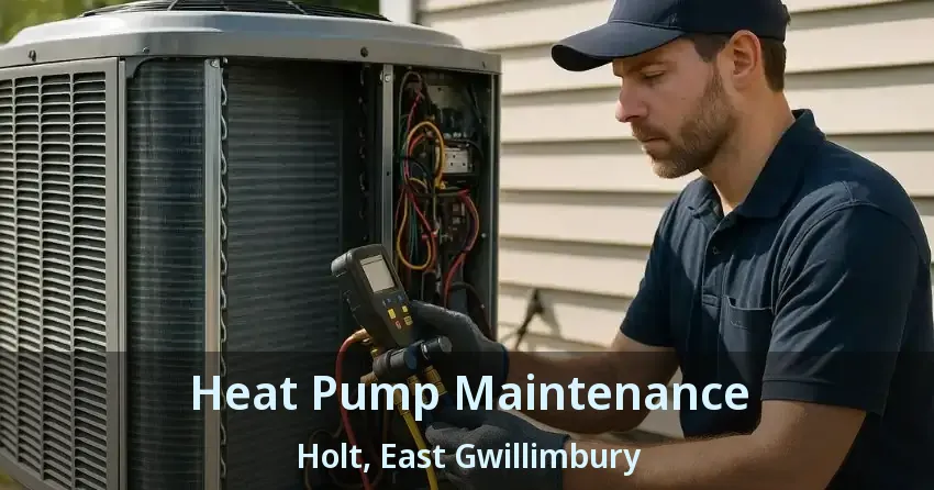 Heat Pump Maintenance Holt, East Gwillimbury - ON