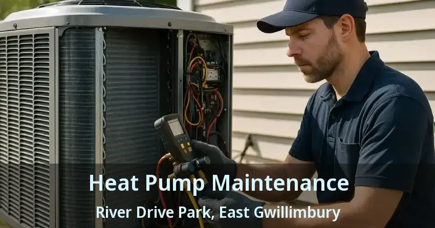 Heat Pump Maintenance River Drive Park, East Gwillimbury - ON