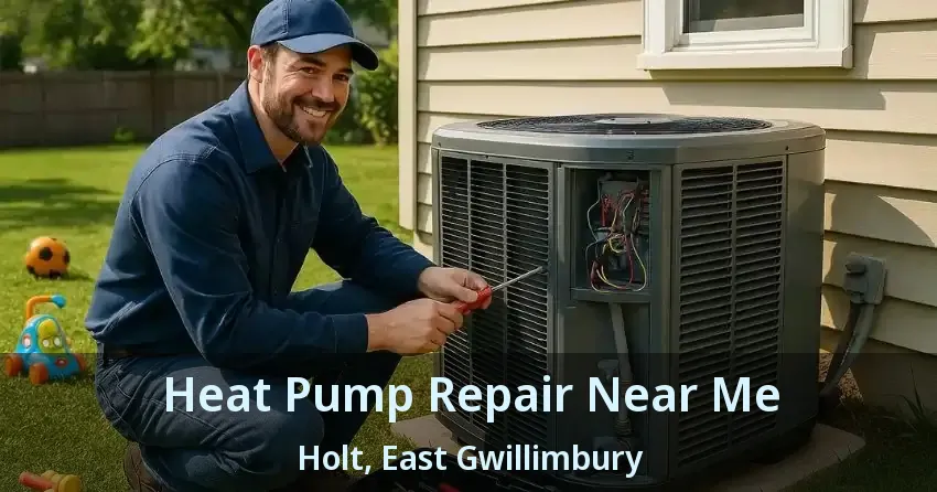 Heat Pump Repair Near Me Holt, East Gwillimbury - ON