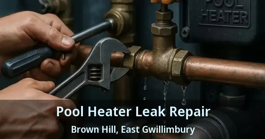 Pool Heater Leak Repair Brown Hill, East Gwillimbury - ON