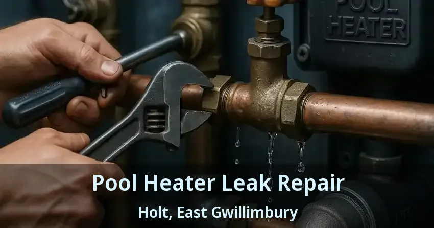 Pool Heater Leak Repair Holt, East Gwillimbury - ON