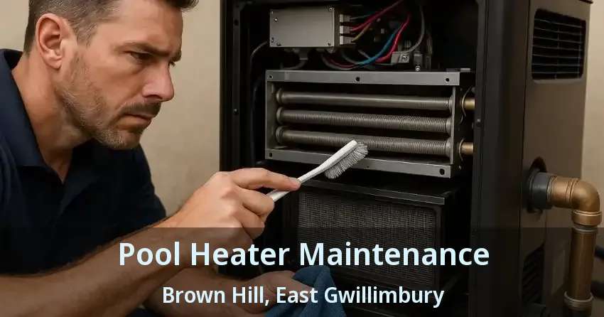 Pool Heater Maintenance Brown Hill, East Gwillimbury - ON