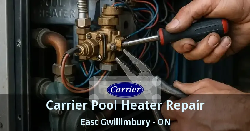 Carrier Pool Heater Repair East Gwillimbury - ON