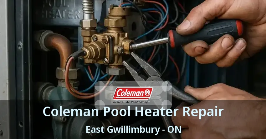 Coleman Pool Heater Repair East Gwillimbury - ON