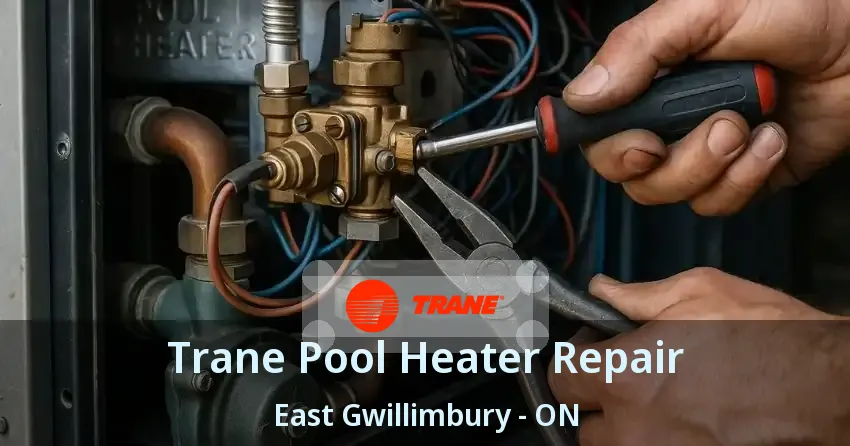Trane Pool Heater Repair East Gwillimbury - ON